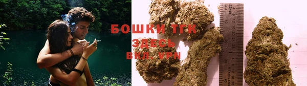 дмт Няндома
