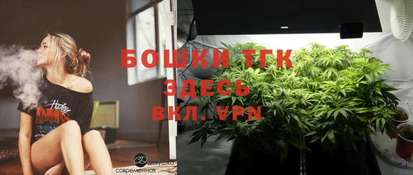 сатива Алексеевка