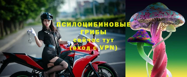 сатива Алексеевка